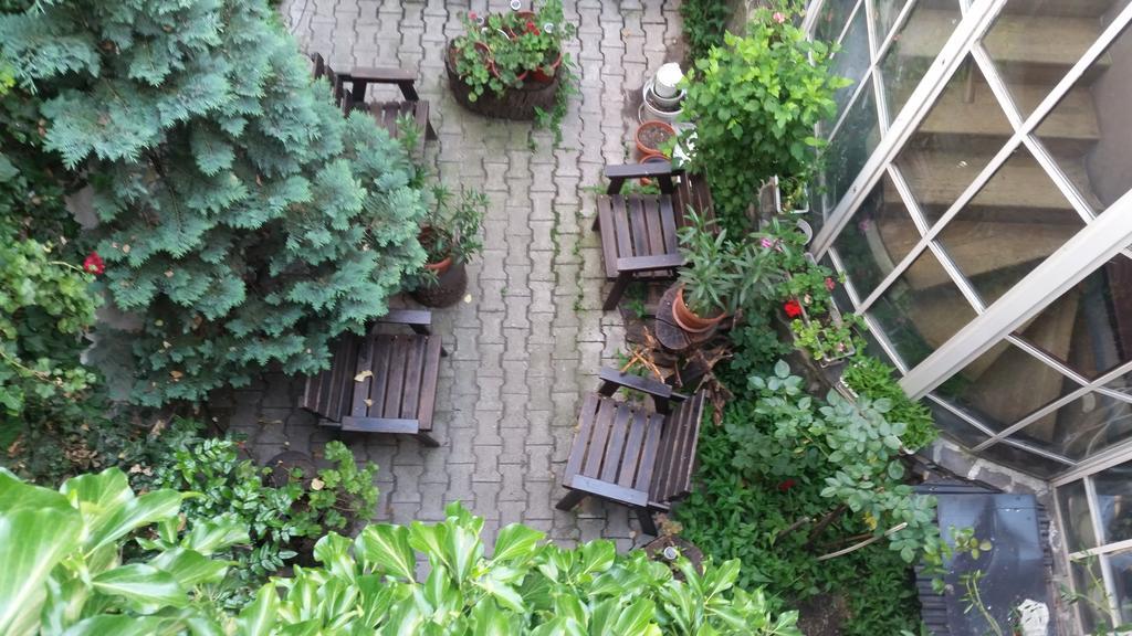 Târgu-Mureş Vila Monica B&B 외부 사진