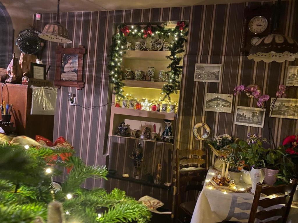 Târgu-Mureş Vila Monica B&B 외부 사진
