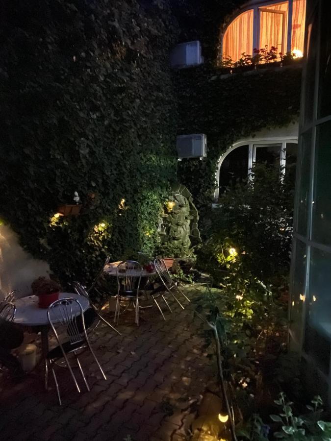 Târgu-Mureş Vila Monica B&B 외부 사진